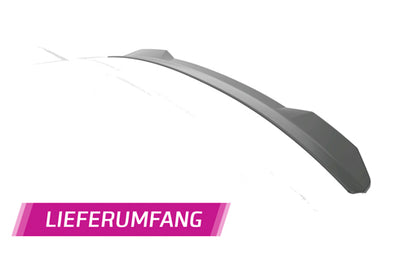 ALETTONE POSTERIORE adattato a Dacia Duster (1a Gen)