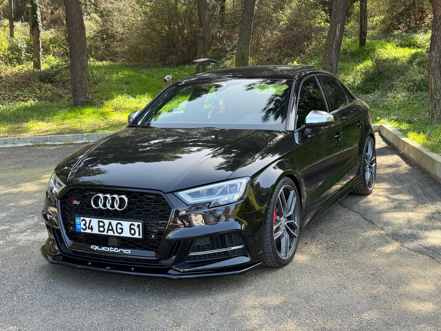 ⭐SPLITTER ADATTO PER AUDI RS3 8V Facelift 2017+  Versione 2⭐