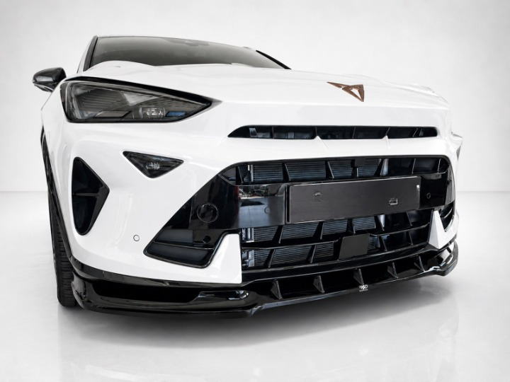 ART.10174 SPLITTER  V.1 Cupra Formentor