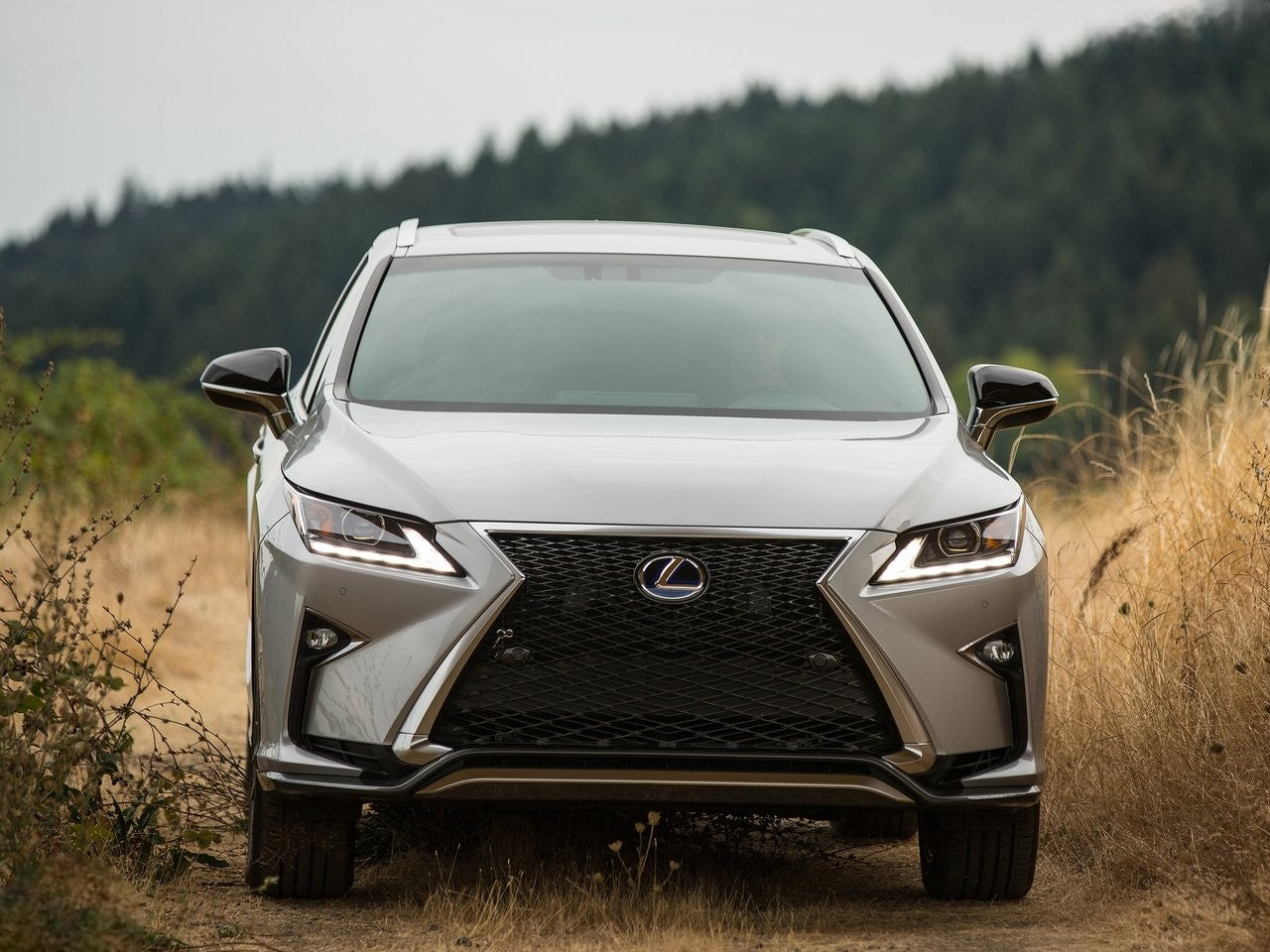 💥ART.3434 BODYKIT SPORT adatto per LEXUS RX IV 15-19💥