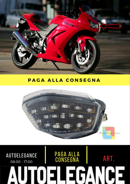⭐Black Clear Motorcycle LED Tail Light Kawasaki Ninja 250R EX250⭐