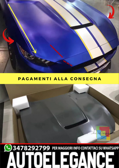 🔥Cofano Copertura Ventilazione Grig  Adatto Per Ford Per Mustang 15-17  GT350🔥