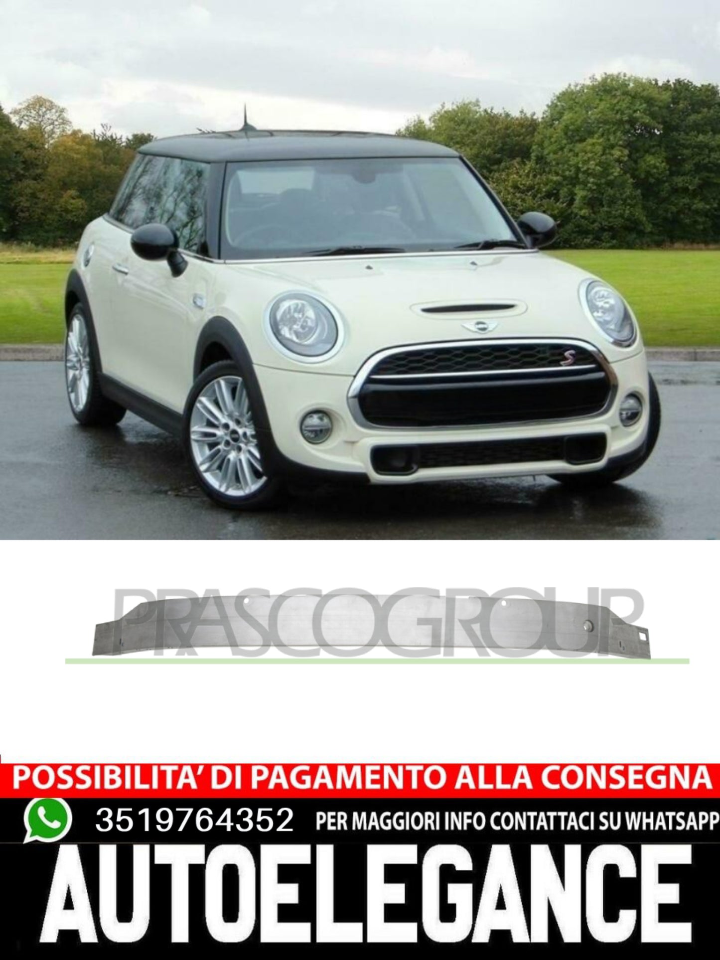 Rinforzo Supporto Paraurti Prasco Anteriore Per Mini  51117301577