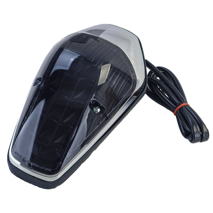 ❄️Fari posteriore a LED per Nero Fumo Vetro trasparente per Honda VTX 1300❄️