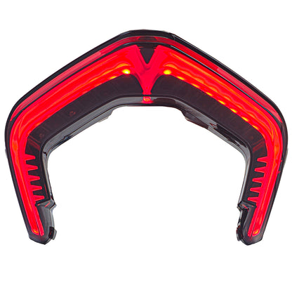 ❄️Fari posteriore a LED Moto Fumé Vetro Trasparente per Ducati Panigale V4 R S❄️