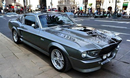 🔥Chiusura Fianco Posteriore Sinistro per Ford Mustang 67-68 Fastback🔥