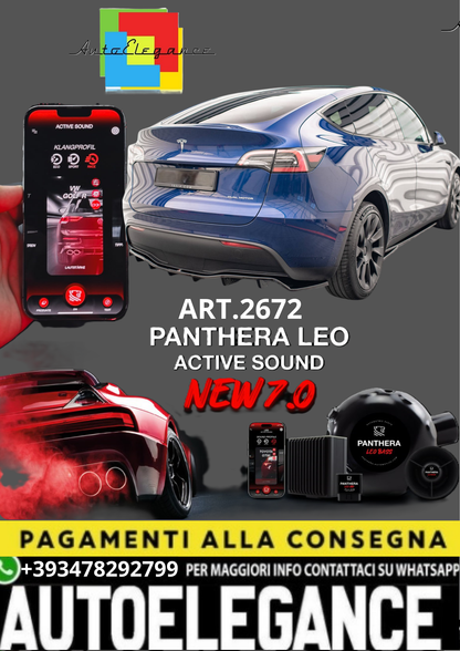🎀ART.2672 PANTHERA SOUND SYSTEM ADATTO PER  Tesla Model Y🎀
