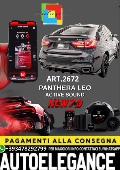 🎀ART.2672 PANTHERA SOUND SYSTEM ADATTO PER BMW X6 F16 M-Pack / X6 M F86🎀