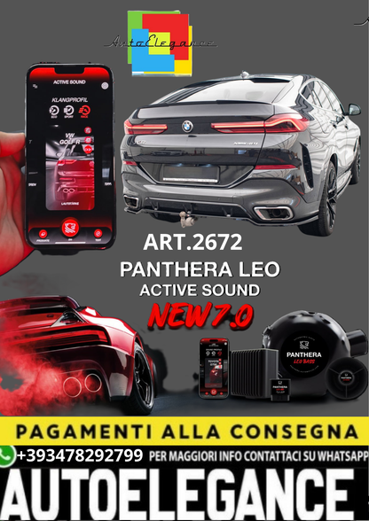 🎀ART.2672 PANTHERA SOUND SYSTEM ADATTO PER BMW X6 M-Pack G06🎀