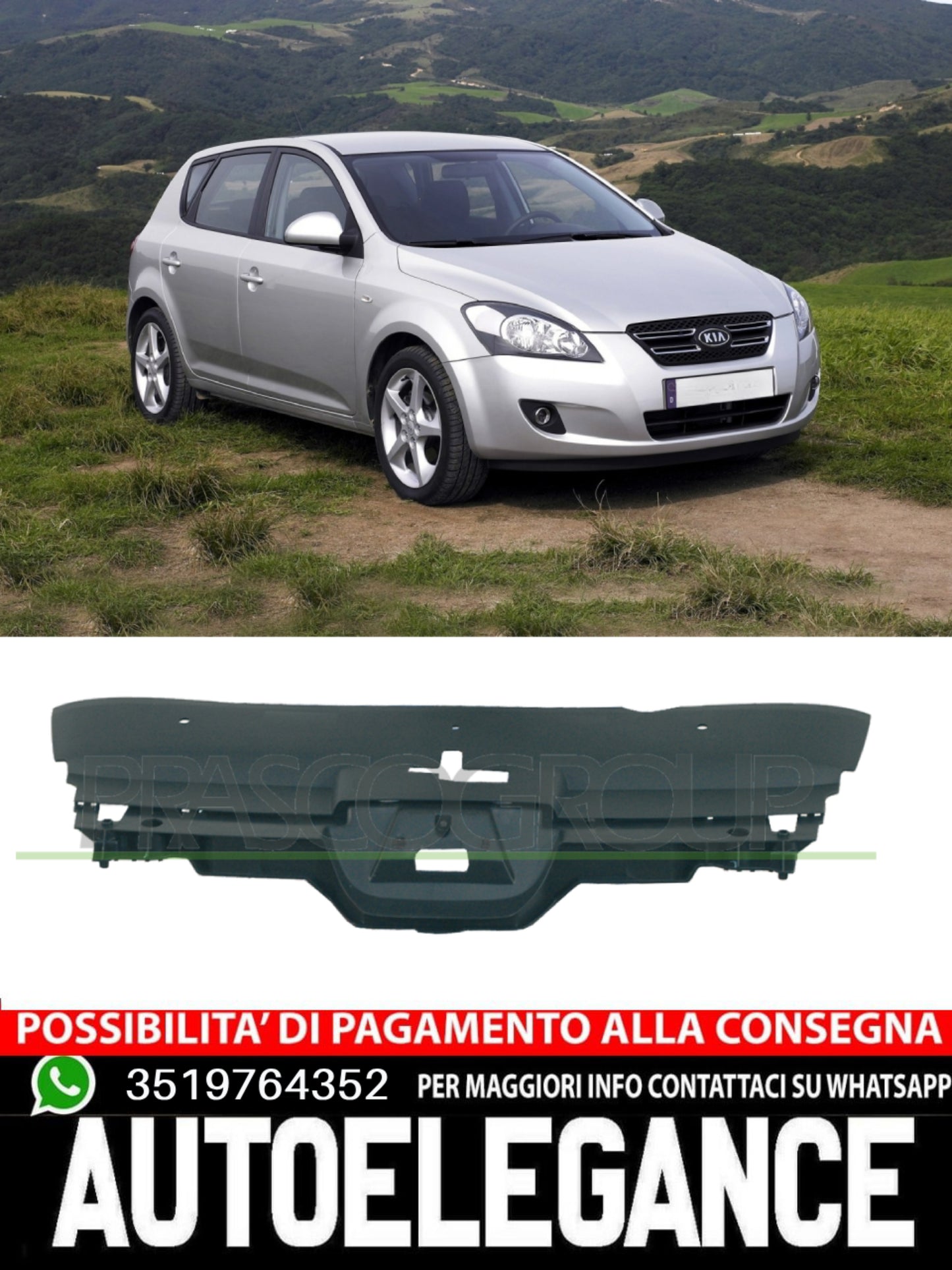 Griglia Radiatore Anteriore Prasco Per Peugeot 407  7416C3