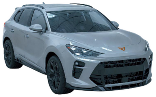 💫Bodykit addato per Cupra Terramar 2024+💫