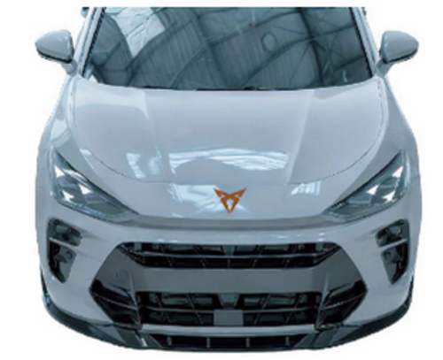 💫ART.2394 SPLITTER CUPRA TERRAMAR 2024+💫