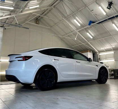 💫ART.6760 Spoiler Posteriore per Tesla Model 3 (2017-2022) Stile OEM Nero lucido💫