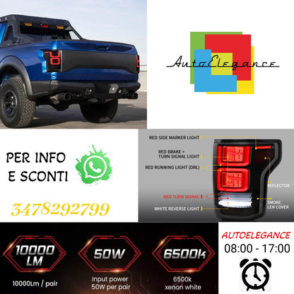 Fanali posteriori Full LED per Ford F150 2015-2020