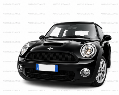 💫GRIGLIA ANTERIORE PER MINI COOPER R55 R56 R57 R58 06-13 NIDO D'APE💫 (Copia)