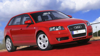 💥GRIGLIA RADIATORE ADATTO PER Audi A3 8P 2008 - 2011💥