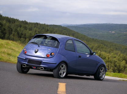 ✌️😎 SPOILER POSTERIORE ADATTO PER FORD KA 2008-2016😎✌️