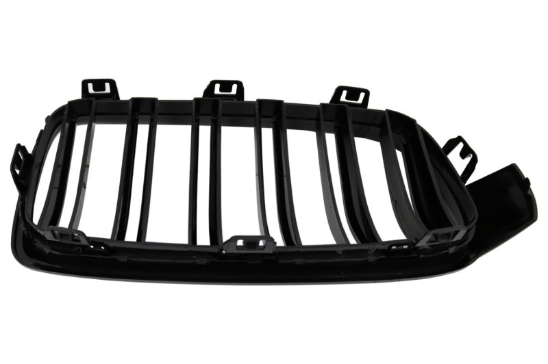 splitter con Griglia e Diffusore Doppia Uscitaadatto per BMW Serie 3 F30
