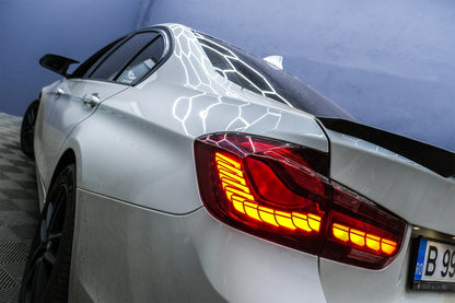 Conversione dei fanali posteriori OLED adatto per BMW Serie 3 F30 (2011-2019)