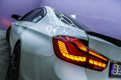 Conversione dei fanali posteriori OLED adatto per BMW Serie 3 F30 (2011-2019)