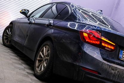 Conversione dei fanali posteriori OLED adatto per BMW Serie 3 F30 (2011-2019)