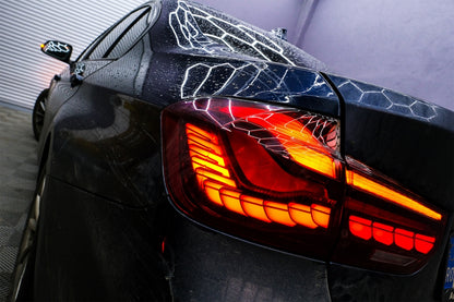 Conversione dei fanali posteriori OLED adatto per BMW Serie 3 F30 (2011-2019)