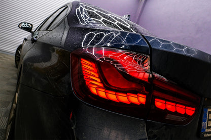 Conversione dei fanali posteriori OLED adatto per BMW Serie 3 F30 (2011-2019)
