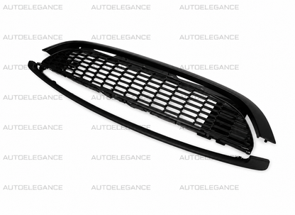 💫GRIGLIA ANTERIORE PER MINI COOPER R55 R56 R57 R58 06-13 NIDO D'APE💫 (Copia)