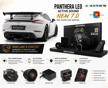 💕ART.2672 PANTHERA Soundsystem Booster 7.0 -  Porsche 718 Cayman 982c💕