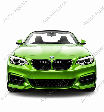 🔥GRIGLIA ANTERIORE A DOPPIO RENE PER BMW  2 F22 F23 F87 M2 NERO LUCIDO 14-18🔥