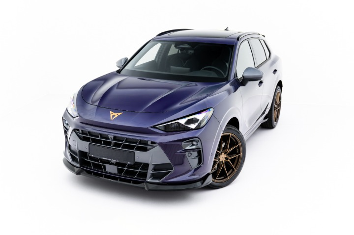 💕ART.8413 Splitter V.1 Cupra Terramar Mk1💕