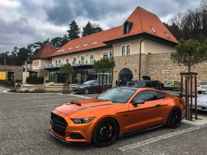 ART.4102 Dischi freno Ford Mustang 15-21 352mm