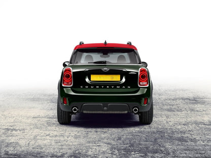 💫ART.6800 Fanale posteriore LED fume adatto per MINI COOPER F60 2016-2020💫