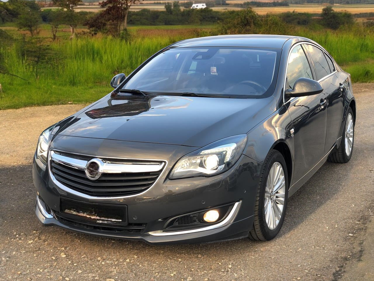 💥GRIGLIA RADIATORE ADATTO PER Opel Insignia 2014 - 2016 lifting💥