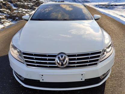 💥GRIGLIA RADIATORE ADATTO PER VW Passat CC 2012 - 2016 💥
