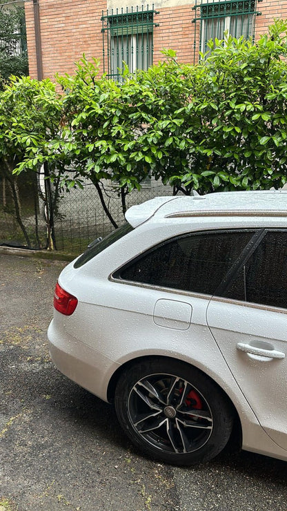 AUDI A4 B8 AVANT RS-4 STYLE REAR SPOILER ROOF SPOILER TUNING SOBMART-most 