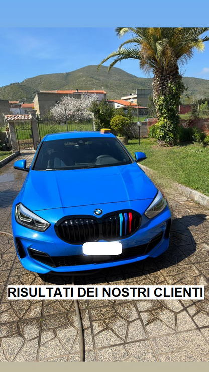 RADIATOR GRILLE KIDNEY GRILLE GLOSS BLACK SINGLE BRIDGE FOR BMW 1 SERIES F40 5