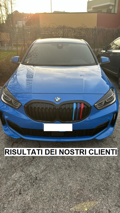 RADIATOR GRILLE KIDNEY GRILLE GLOSS BLACK SINGLE BRIDGE FOR BMW 1 SERIES F40 5