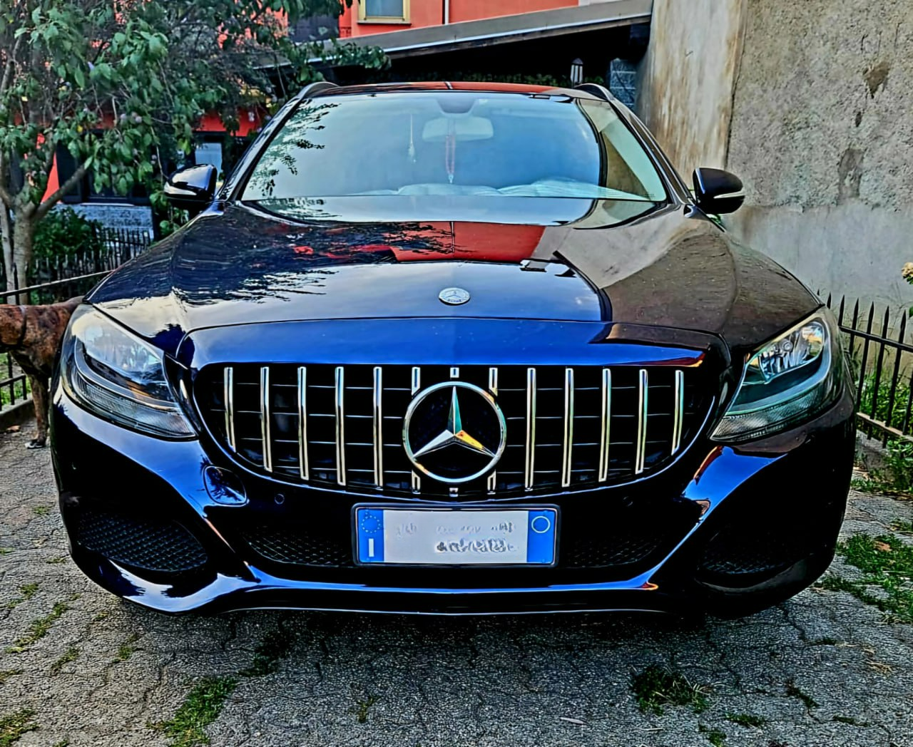 ✨Griglia radiatore Sport Panamericana GT adatta per Mercedes W205 pre-lifting✨