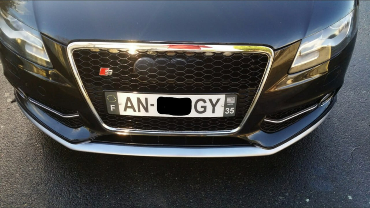 ⭐0614 GRIGLIA PER AUDI RS4 ADATTO PER A4 B8 LOOK RS4 CROMATA⭐