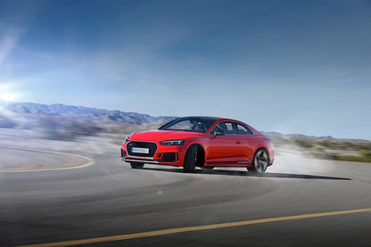 ⭐0587 GRIGLIA ADATTO PER AUDI A5 F5 2016-2019 LOOK RS5 BORDO SATINATO⭐