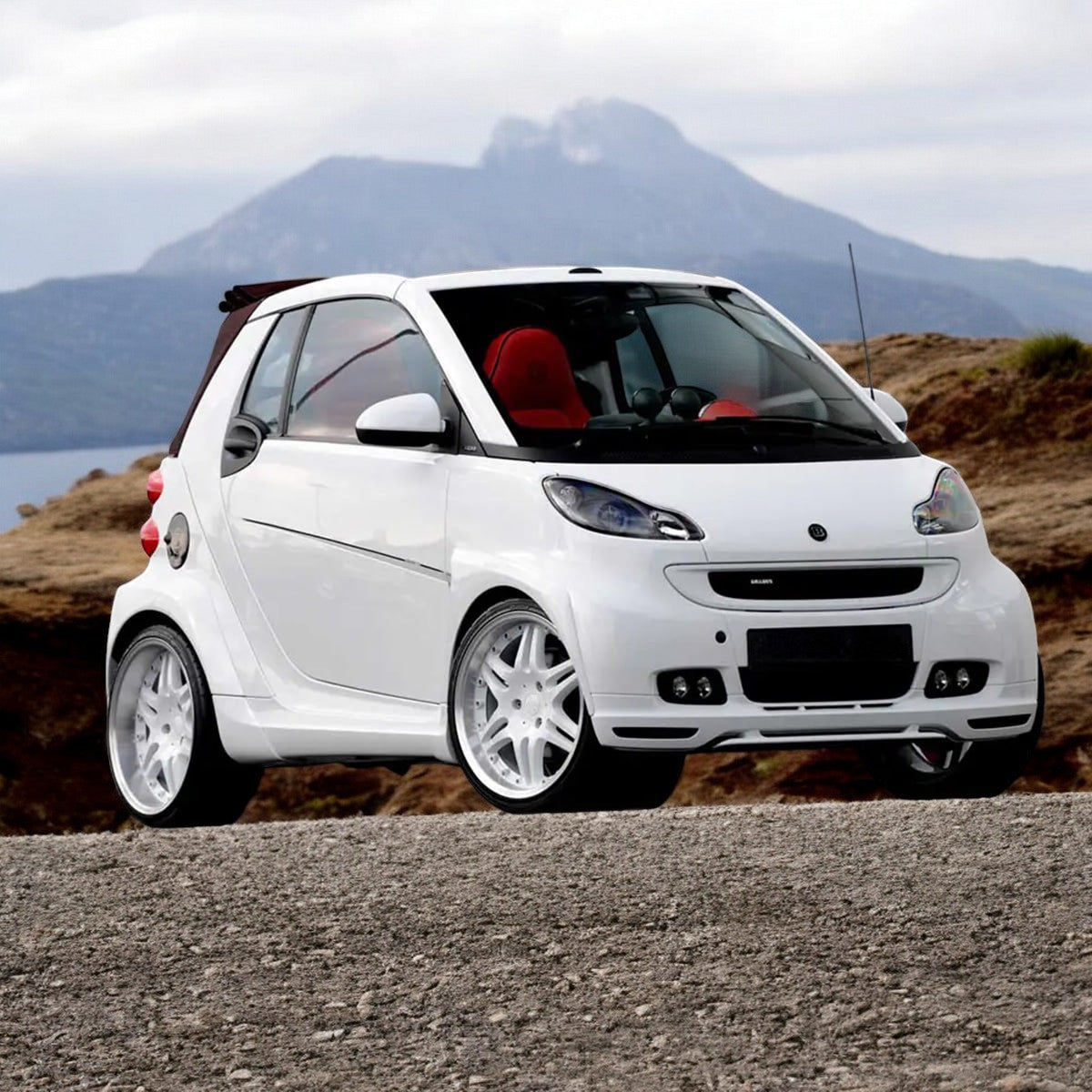 🔥2189 SOTTO PARAURTI ADATTO PER SMART 451 2007-2014 LOOK BRABUS GREZZO🔥