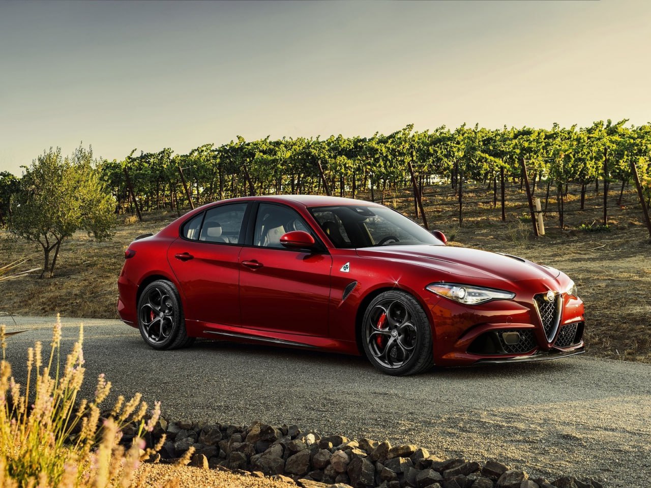🔥2203 MINIGONNE ADATTO PER ALFA ROMEO GIULIA SPECIFICHE TOP QUALITY🔥