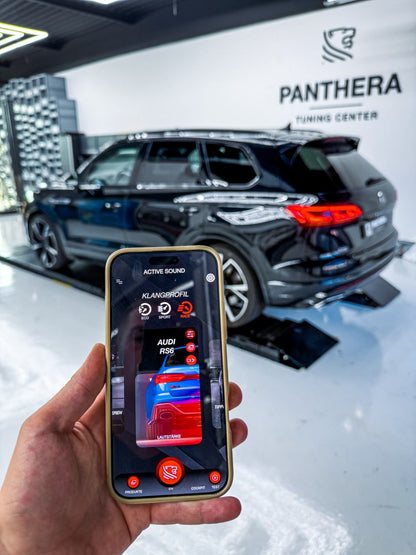 💥💣 ART.2672 PANTHERA SOUND SYSTEM ADATTO PER  BMW Seria 7 💣💥