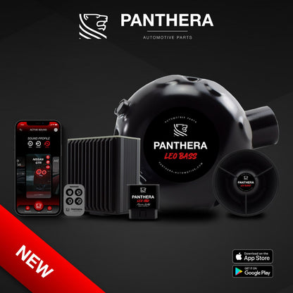 💥ART.2672 PANTHERA SOUND SYSTEM ADATTO PER VOLKSWAGEN GOLF GTI MK8💥