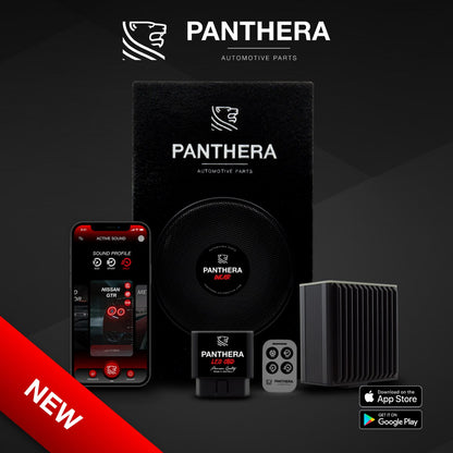 💥ART.2672 PANTHERA SOUND SYSTEM ADATTO PER VOLKSWAGEN GOLF GTI MK8💥
