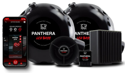 💥💣 ART.2672 PANTHERA SOUND SYSTEM💣💥