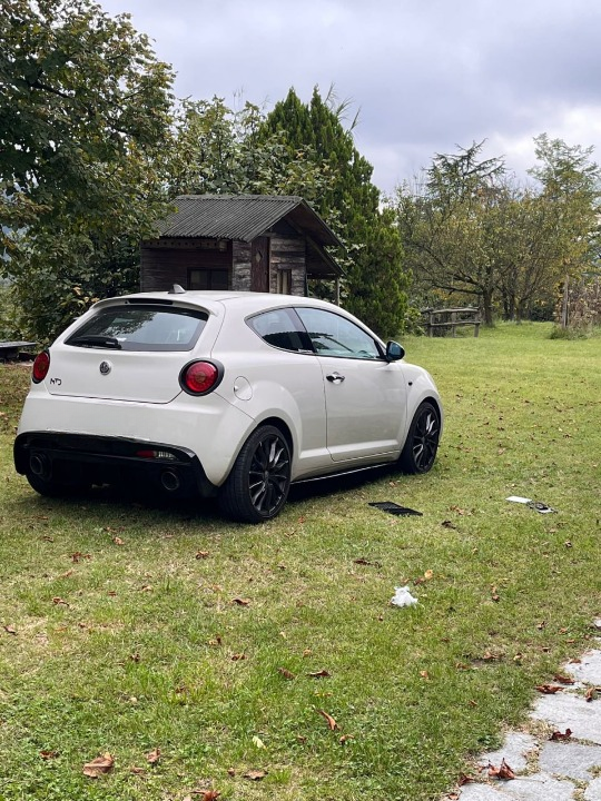 ART. 1562 SOTTO MINIGONNE ALFA ROMEO  MITO 175CM