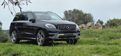💕 ART.9313  GRIGLIA  Mercedes ML-Class (W166) (2011-2015) Panamericana💕