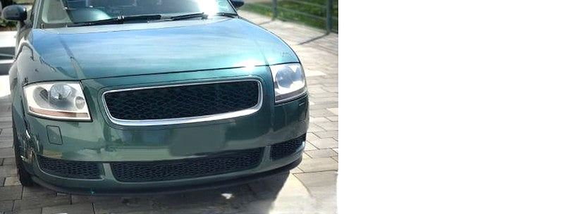 💥ART.3733 GRIGLIA SPORT adatto per AUDI TT 99-06💥